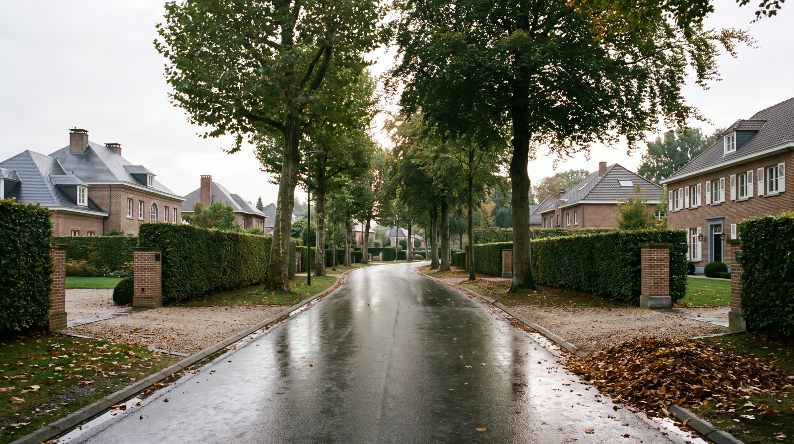 Avenue résidentielle bordée d'arbres et de haies à Waterloo en automne