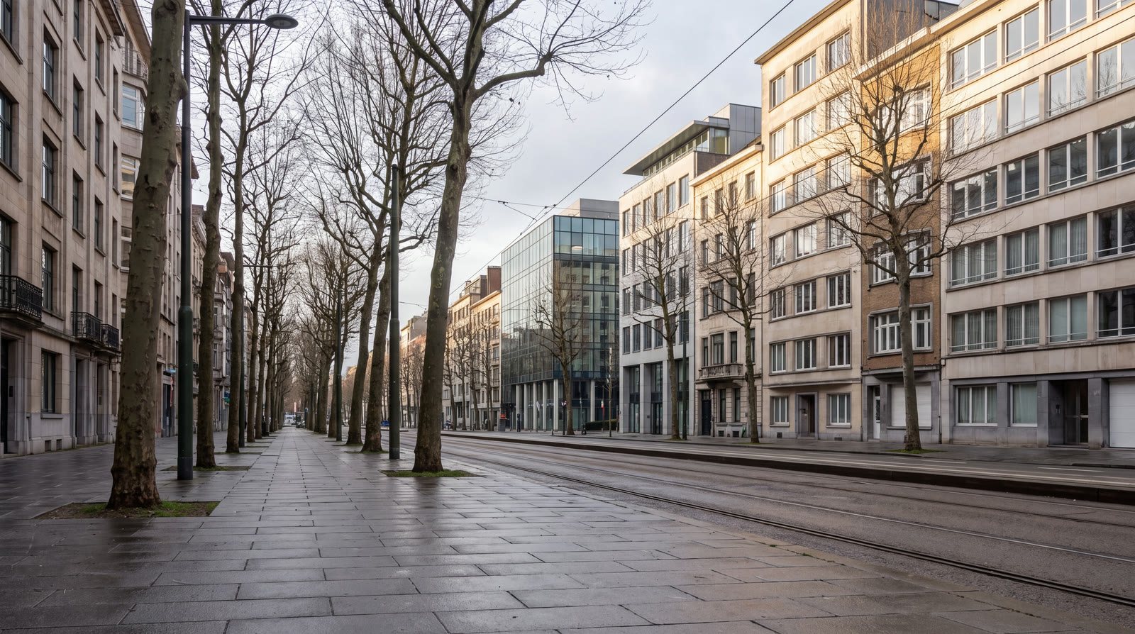 Avenue Louise lined with plane trees and office buildings