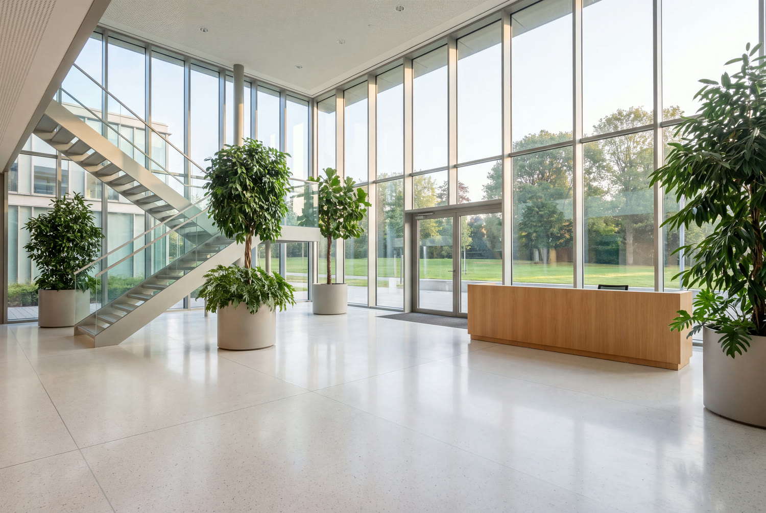 Glazed atrium of a Woluwe office building, pale floor without marks and green plants