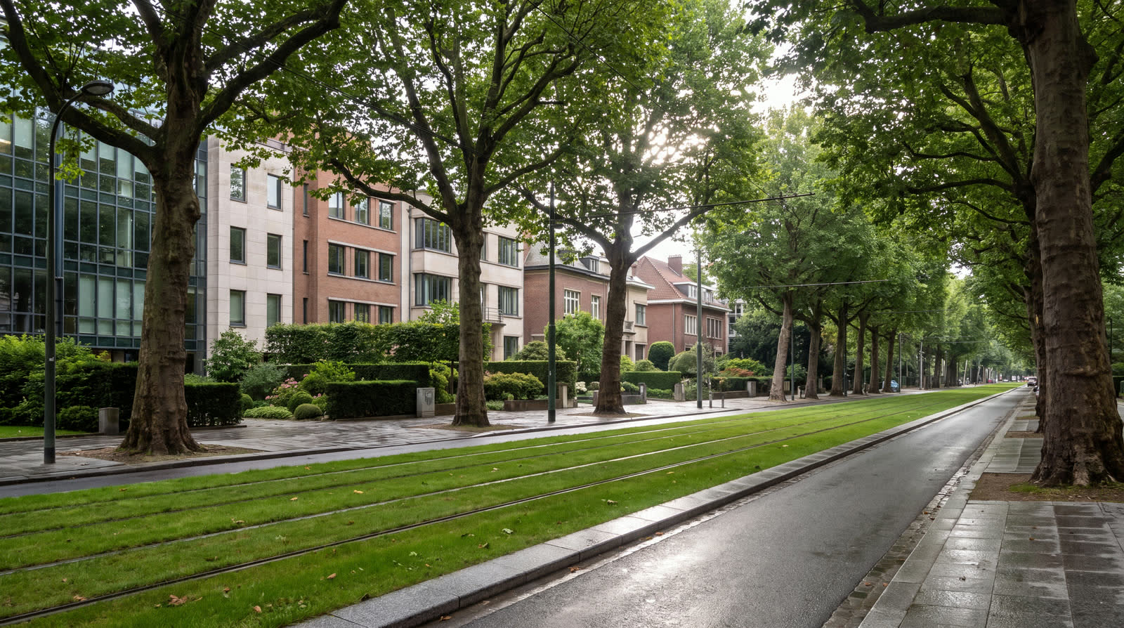 Green avenue in Woluwe lined with office buildings and a grassed tram reservation