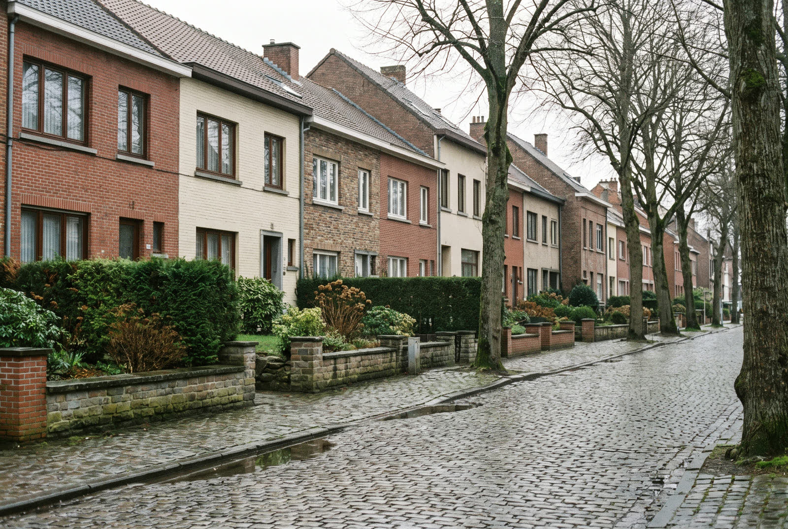 Rue résidentielle de Wavre bordée de maisons de brique et de petits jardins